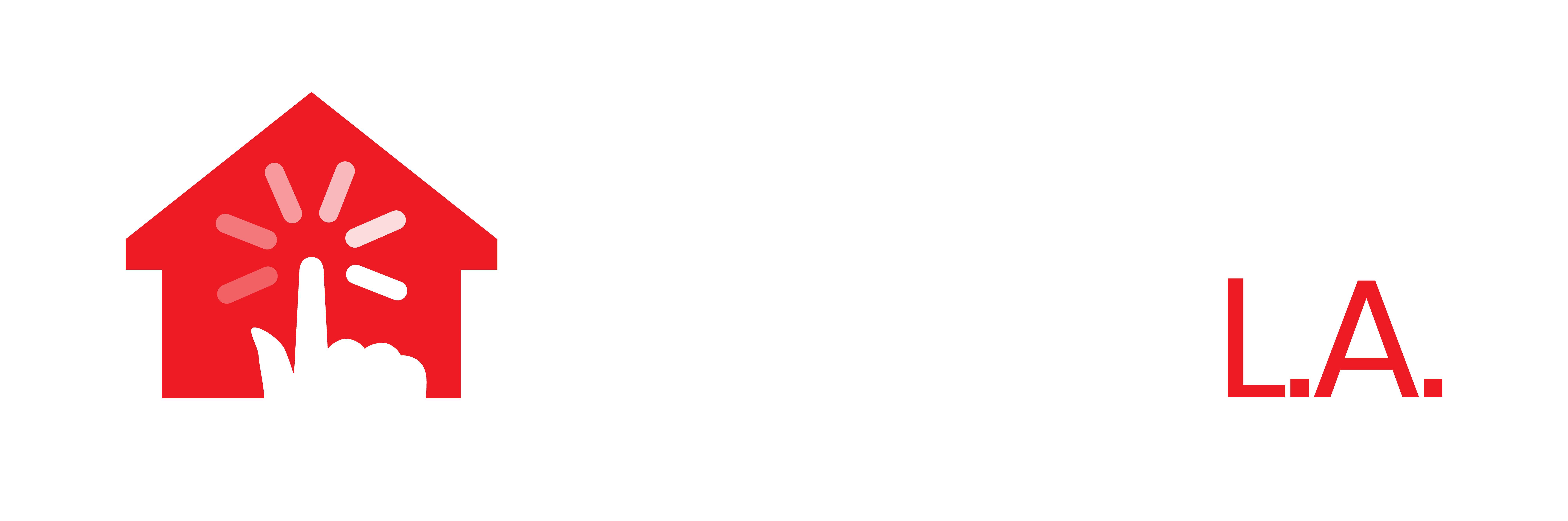 SmartConnect RGB-02